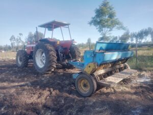 chia seeds farming in kenya